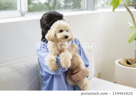 Small dog being held by its owner 134942620