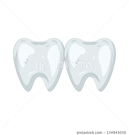 Illustration of tooth Illustration of tooth 134943038