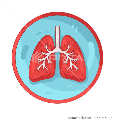 Illustration of human lungs 134943042