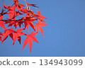 明亮的紅色在藍天留下發光 134943099