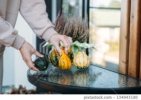 Hands place small ornamental gourds on glass table near potted plant. Seasonal table setting, harvest aesthetic, balcony aesthetics, home gardening. Hands place small ornamental gourds on glass table near potted plant. Seasonal table setting, harvest aesthetic, balcony aesthetics, home gardening. 134943180