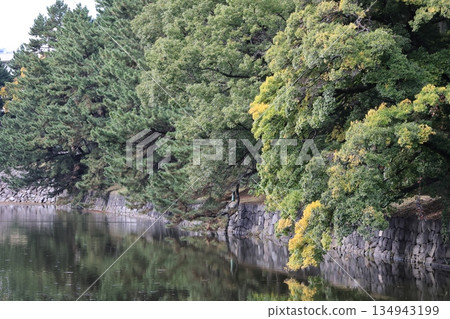 Scenery of the East Gardens of the Imperial Palace 134943199