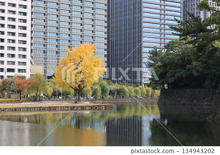 Scenery of Otemachi, Chiyoda Ward, Tokyo 134943202