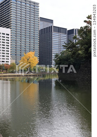 Scenery of Otemachi, Chiyoda Ward, Tokyo 134943203