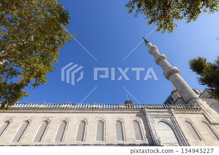 土耳其伊斯坦堡藍色清真寺的塔樓 134943227