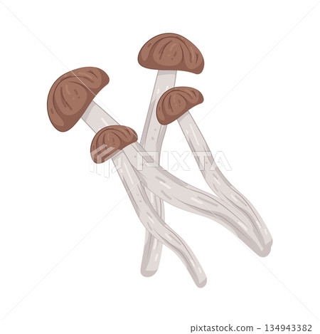 Illustration of mushroom  134943382