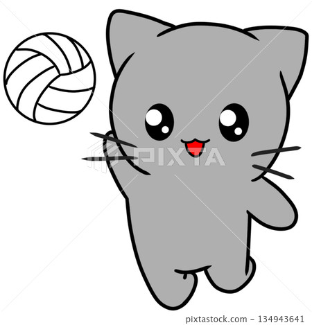 Volleyball Attack Sports Volleyball Attack Sports 134943641