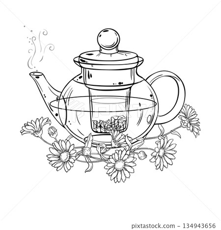 Calendula Tea in Teapot Outline Illustration. Calendula Tea in Teapot Outline Illustration. 134943656