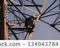 Electrical engineers climb high voltage power poles for maintenance. 134943784