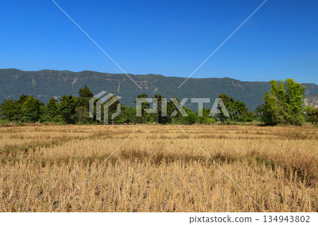 寮國孔洛週邊的風景 134943802