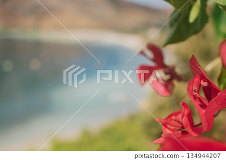 Bright pink bougainvillea framing the calm waters of lake Kournas, Crete, Greece 134944207