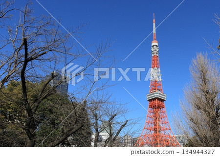 升起在藍天的東京鐵塔 134944327