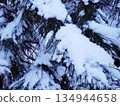Pine branches covered in heavy snow. Close up winter nature. 134944658