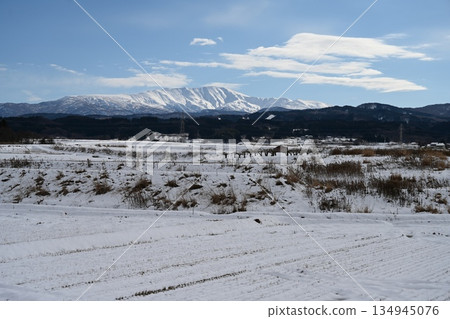 Shonai Plain, early winter Shonai Plain, early winter 134945076