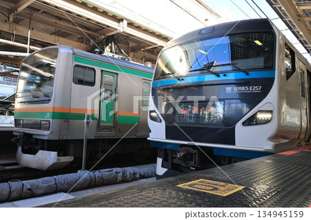 上野東京線列車和特快列車「大鳥號」停靠東京站。 134945159