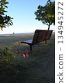 Sea-viewable bench Sea-viewable bench 134945272