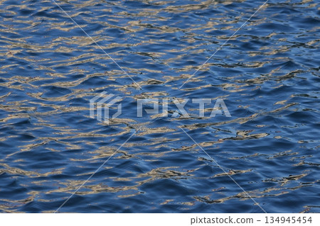 Ripples on a calm sea surface 134945454