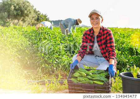 Cheerful girl farmer showing harvest of peppers on farm field Cheerful girl farmer showing harvest of peppers on farm field 134945477