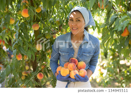 Woman with bunch of peaches Woman with bunch of peaches 134945511