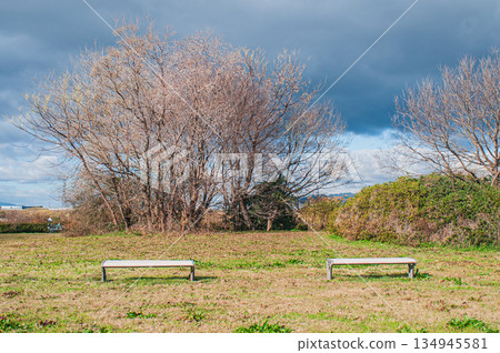 大阪府枚方市冬季淀川公園出口區域 134945581