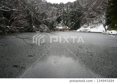 Shellfish Pond, Winter 134945884