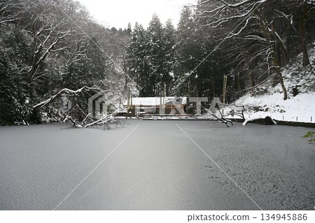 貝類池塘，冬季 134945886