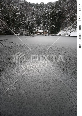 Shellfish Pond, Winter Shellfish Pond, Winter 134945887