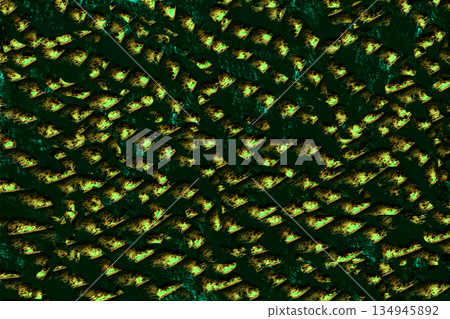 Surreal green flying fantastic pinpoint spots on dark Surreal green flying fantastic pinpoint spots on dark 134945892