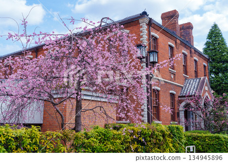 同誌社大學正冠春季 同誌社大學正冠春季 134945896