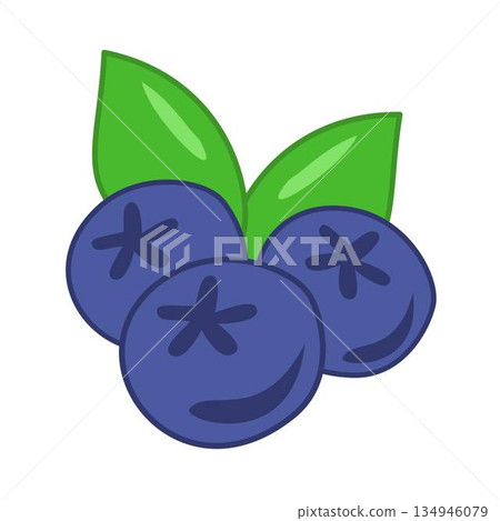 blueberry, Blueberries Fruit Illustration blueberry, Blueberries Fruit Illustration 134946079