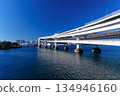 Tokyo Bay: Rainbow Bridge and coastal scenery 134946160