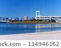Tokyo Bay: Rainbow Bridge and coastal scenery 134946162