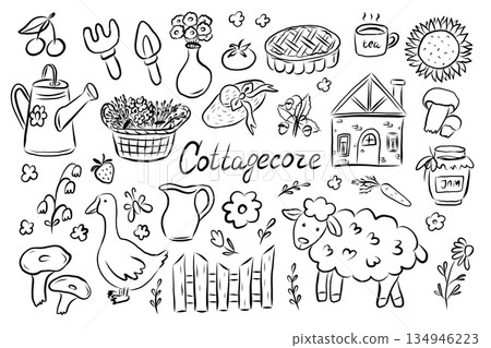 Hand Drawn Cottagecore Elements Rustic Illustration Set 134946223