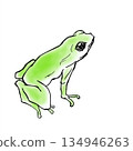 A frog 134946263