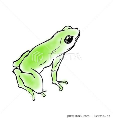 一隻青蛙 134946263