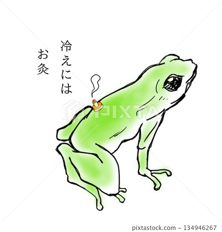 青蛙進行艾灸 134946267