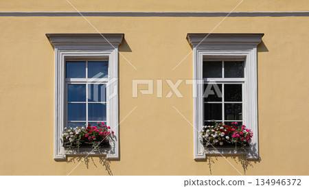 Yellow facade with two classic windows and flower boxes 134946372