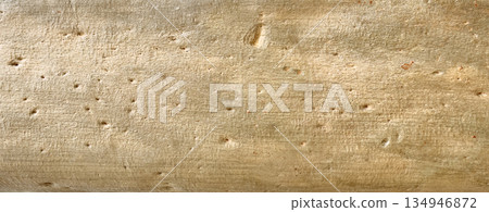 Wood log showing worm holes and natural texture Wood log showing worm holes and natural texture 134946872