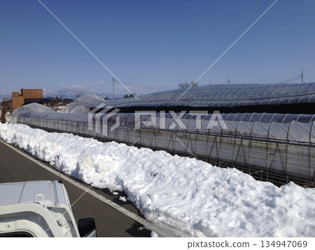 【照片】2014年大雪中倒塌的溫室受損狀況（平成26年大雪及雪災） 134947069
