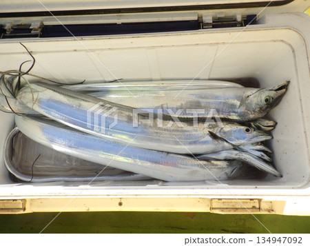 我釣到了一條劍魚 134947092