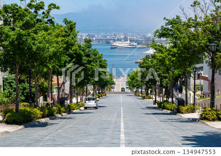 八幡市八幡坂 134947553