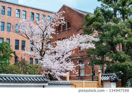 Doshisha University Yushukan in Spring 134947599