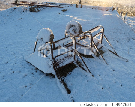 Cat car and snow Cat car and snow 134947631
