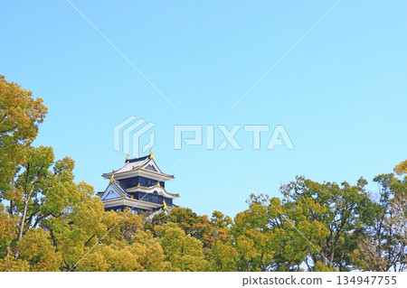 岡山縣岡山市岡山城風景 134947755