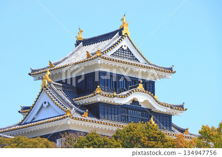 岡山縣岡山市岡山城風景 134947756