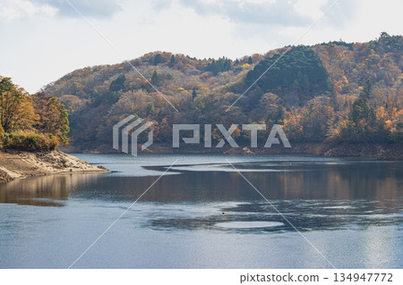 Autumn foliage scenery at Lake Mikawa in Toyota City (Aichi Prefecture) 134947772