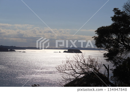 從Mt.東京灣的視圖 134947848