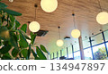 The interior of the cafe with warm round lighting and fresh greenery 134947897