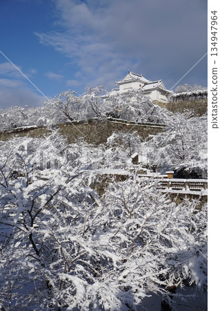 "Tsuruyama Park (Tsuyama Castle Toe)", one of the 100 best cherry blossom viewing spots in Tsuyama City, Okayama Prefecture: Snowscape "Tsuruyama Park (Tsuyama Castle Toe)", one of the 100 best cherry blossom viewing spots in Tsuyama City, Okayama Prefecture: Snowscape 134947964
