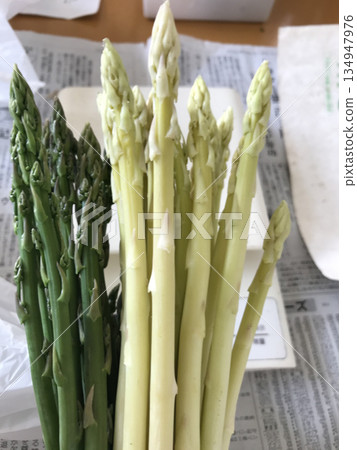 新鮮採摘的綠白蘆筍（兩種顏色對比，感受春天的味道） 134947976